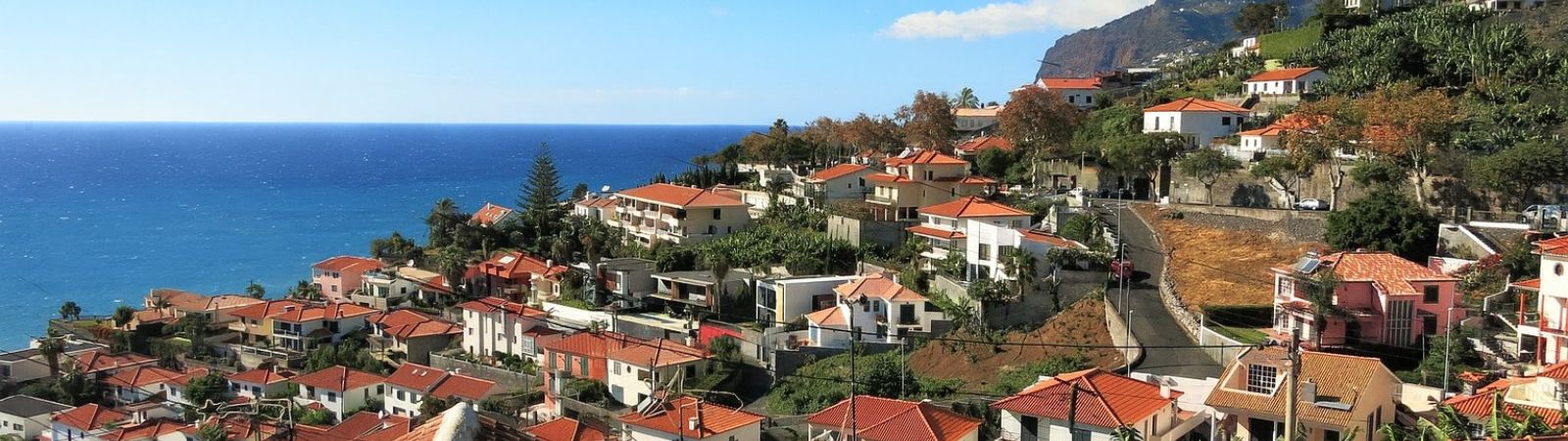 Blik op buitenwijk van Fuchal met zeezicht